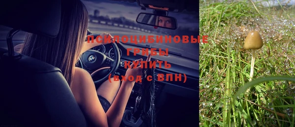 прущая мука Вуктыл