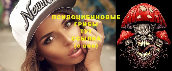 apvp Покачи