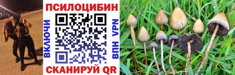 Псилоцибиновые грибы прущие грибы  Туймазы 