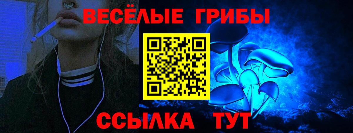 Псилоцибиновые грибы Psilocybe  Вход с VPN  Галлюциногенные грибы MAGIC MUSHROOMS  Туймазы 