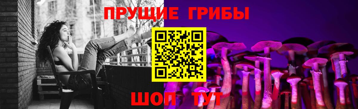 Псилоцибиновые грибы мухоморы Туймазы